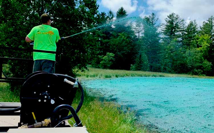 FAQ’s hydroseeding in the forest