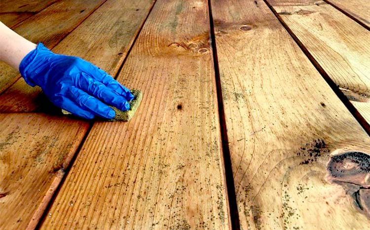 solved-how-to-remove-kill-mold-on-wood-easy-quick