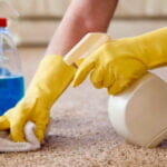 How  Get Mold and Mildew out of carpet in 9 steps