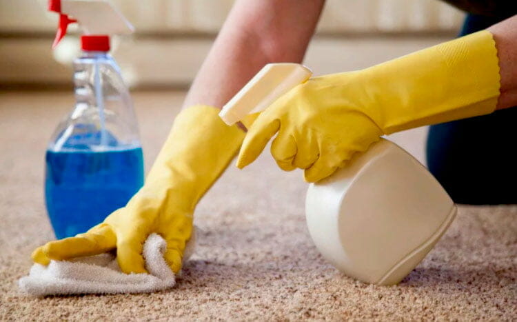 How  Get Mold and Mildew out of carpet in 9 steps