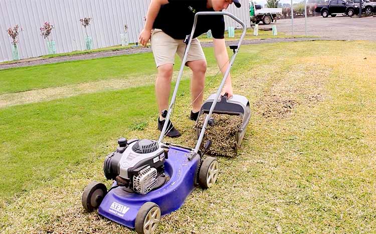 How do you treat a lawn after dethatching clean lawn