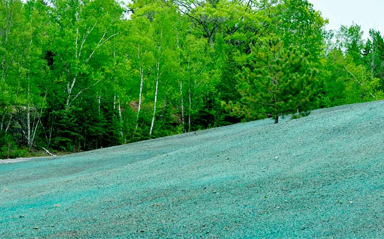 How effective is hydroseeding garden