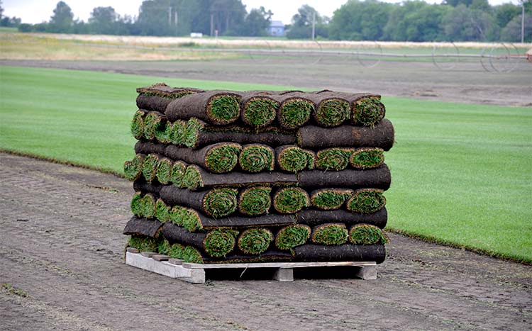 how much sq footage does a pallet of sod cover