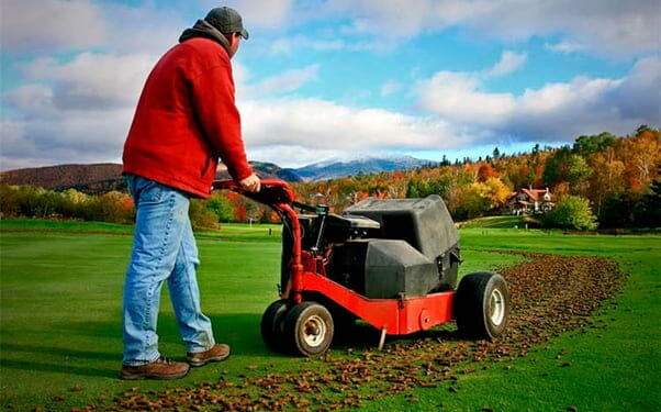 How often should you dethatch and aerate your lawn