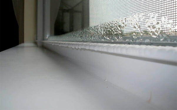 How to remove mold from windows and trim