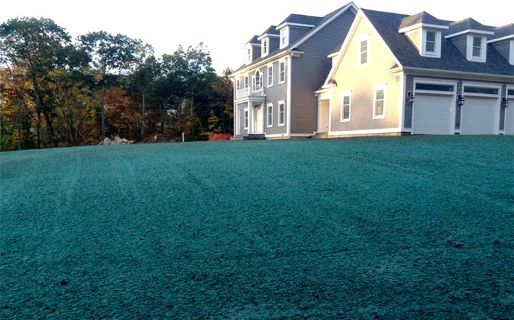 Hydroseeding service near me