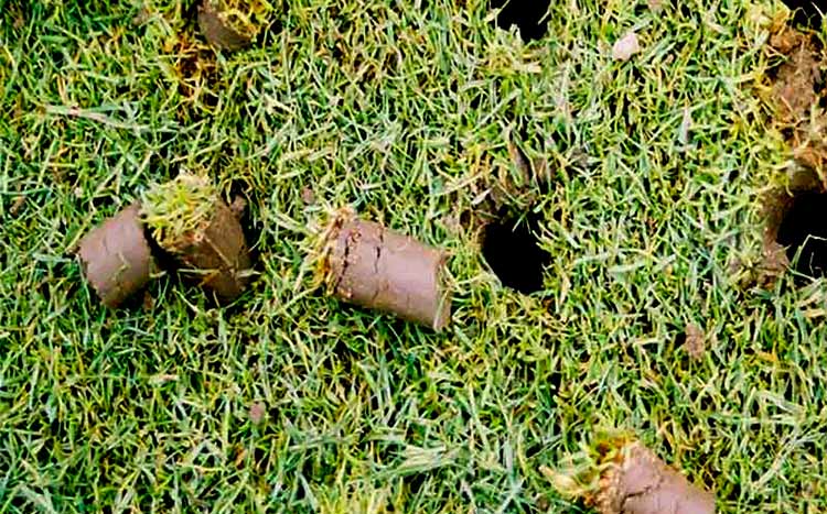 Is Aeration Necessary Before Overseeding aeration of the lawn