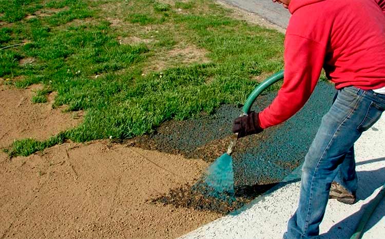 Is hydroseeding better than regular grass seed