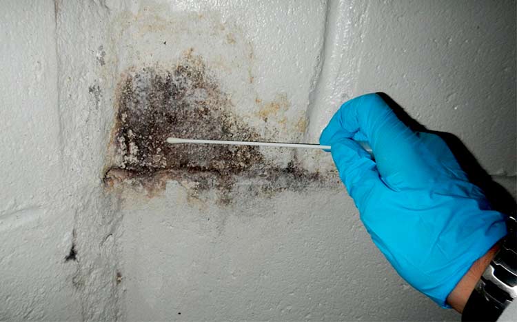 Post Remediation Mold Testing