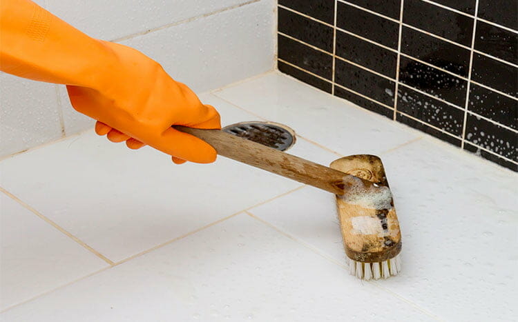 Removing mold from showers brush cleaning