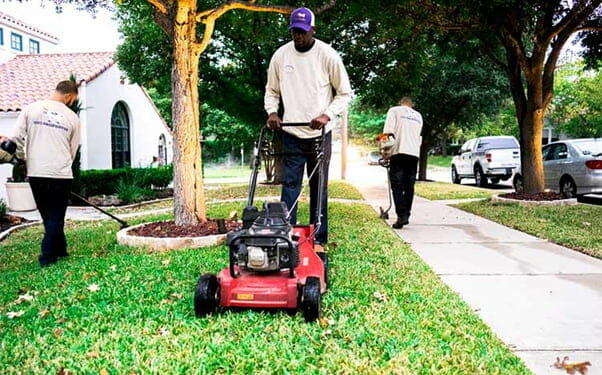 Should I aerate or dethatch my lawn first