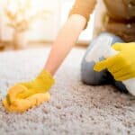 Tips to prevent mold from forming in carpet cleaning