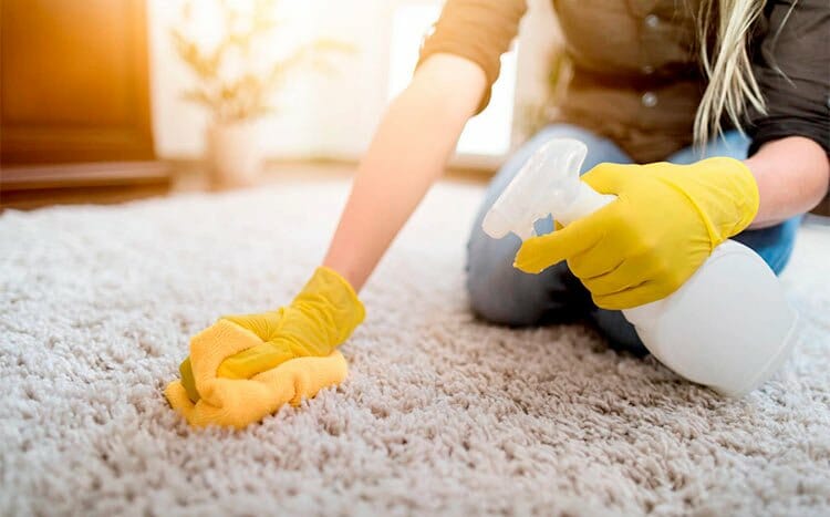 Tips to prevent mold from forming in carpet cleaning