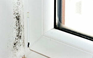 What causes mold on windows & trim