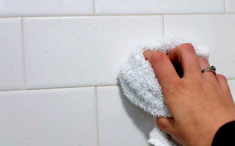 Will Cleaning Bathroom Mold Prevent Its Return clean bathroom