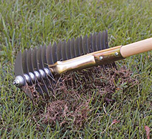 dethatching hand rake