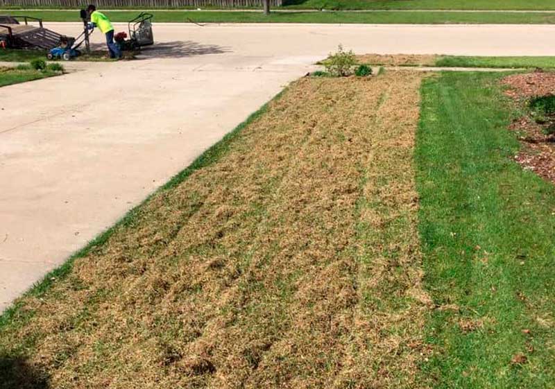 Do It Yourself Lawn Dethatching - Fannie Top