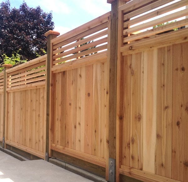 cedar fence