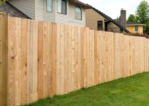 pine fence