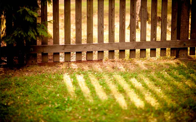 Does a fence define the property line wooden fence and sun light