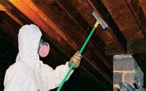 Mold in crawl space