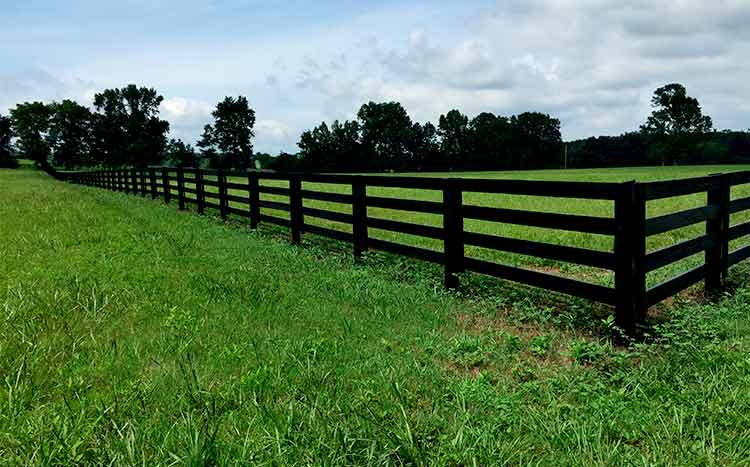 Property line fence laws Colorado