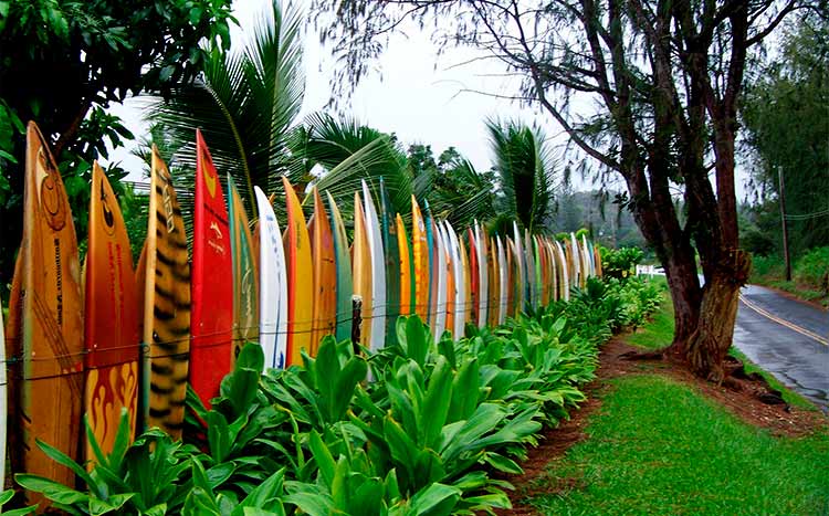 Property line fence laws Hawaii