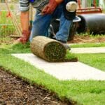 Questions to ask sod installers work in progress