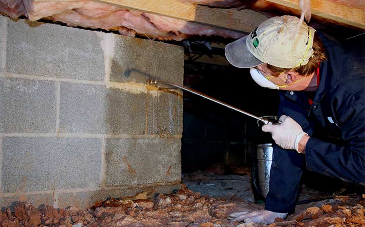 Signs of mold in crawl space Closed Crawl Space