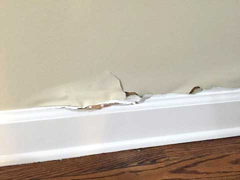 drywall water damage