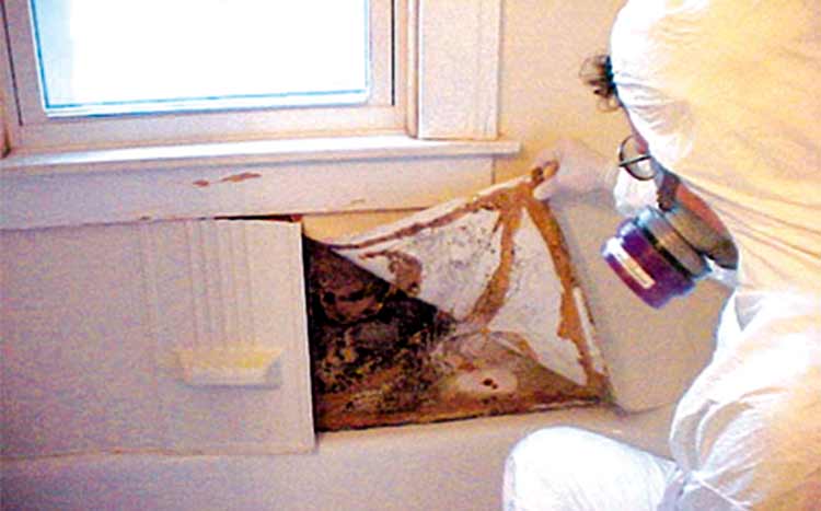 Can Mold In The Basement Make You Sick, Can Damp Basement Make You Sick