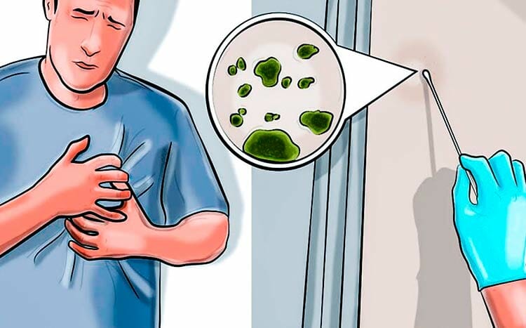 How dangerous is mold to health man sick