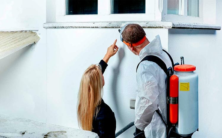 How much does professional mold remediation cost inspection
