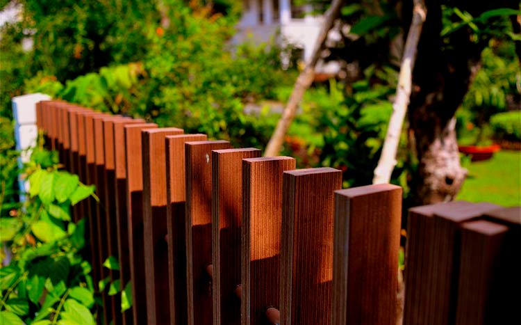 Vinyl vs Wood Fence