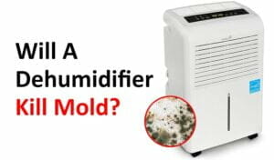 will dehumidifier kill mold