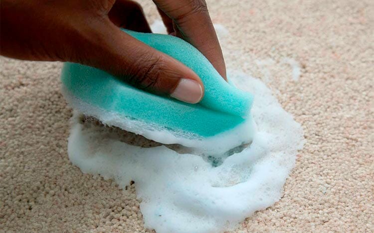 How to get oil based paint out of carpet clining