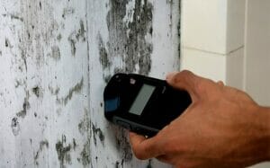 What if mold is found during home inspection