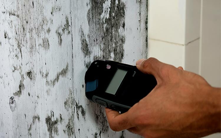 What if mold is found during home inspection