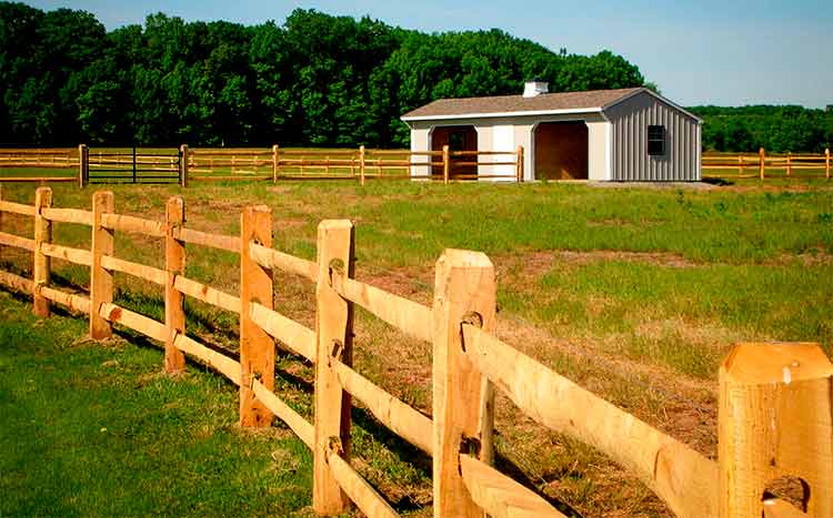 Cost of A Horse Fence