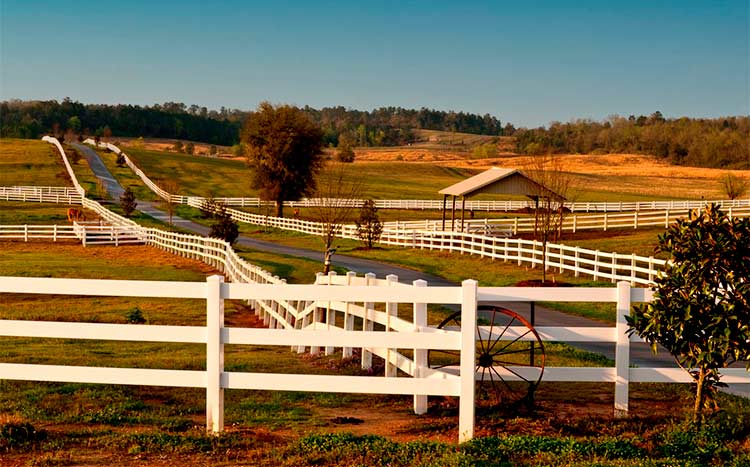 Cost of Ranch Fencing
