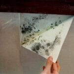 Do sellers have to remediate mold