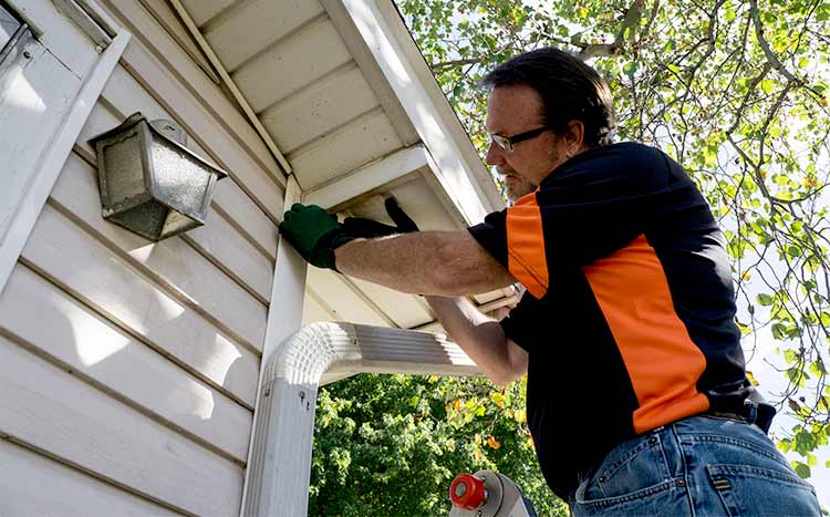 What to Look for In A Siding Contractor installation