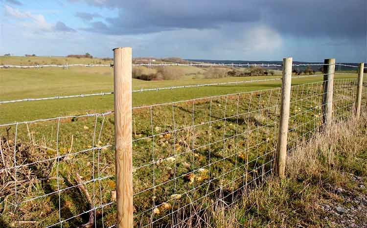 Farm fencing cost