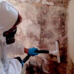 How long does it take for mold remediation