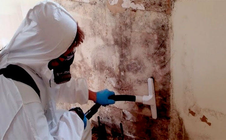 How long does it take for mold remediation