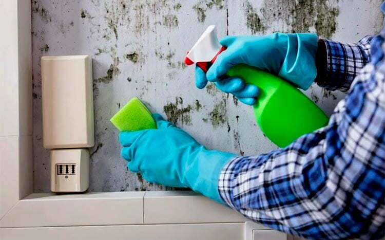 Removing mold from home cleaning