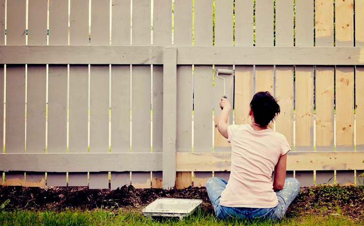 Can I paint both sides of my fence