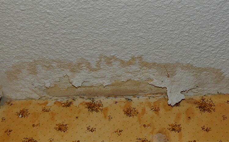 Water Stains on Ceiling How to Fix and Prevent Future Stains