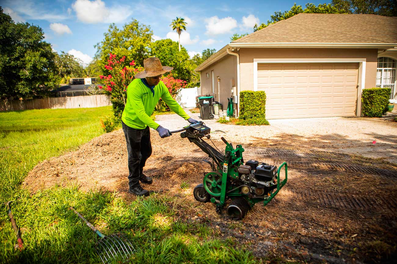 removal of sod from front lawn