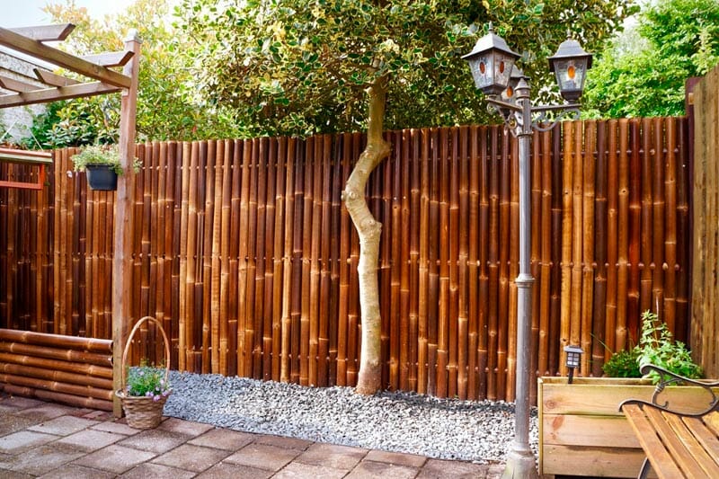 Bamboo Fence